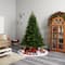 8ft. Pre-Lit Colorado Mountain Fir Natural Look Artificial Christmas Tree, White LED Lights